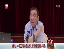 林毅夫：中國GDP能持續(xù)8%增長 挖潛力需取消保護補貼