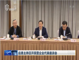 應(yīng)勇主持召開民營企業(yè)代表座談會