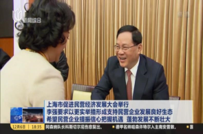 上海市促進(jìn)民營經(jīng)濟(jì)發(fā)展大會(huì)舉行